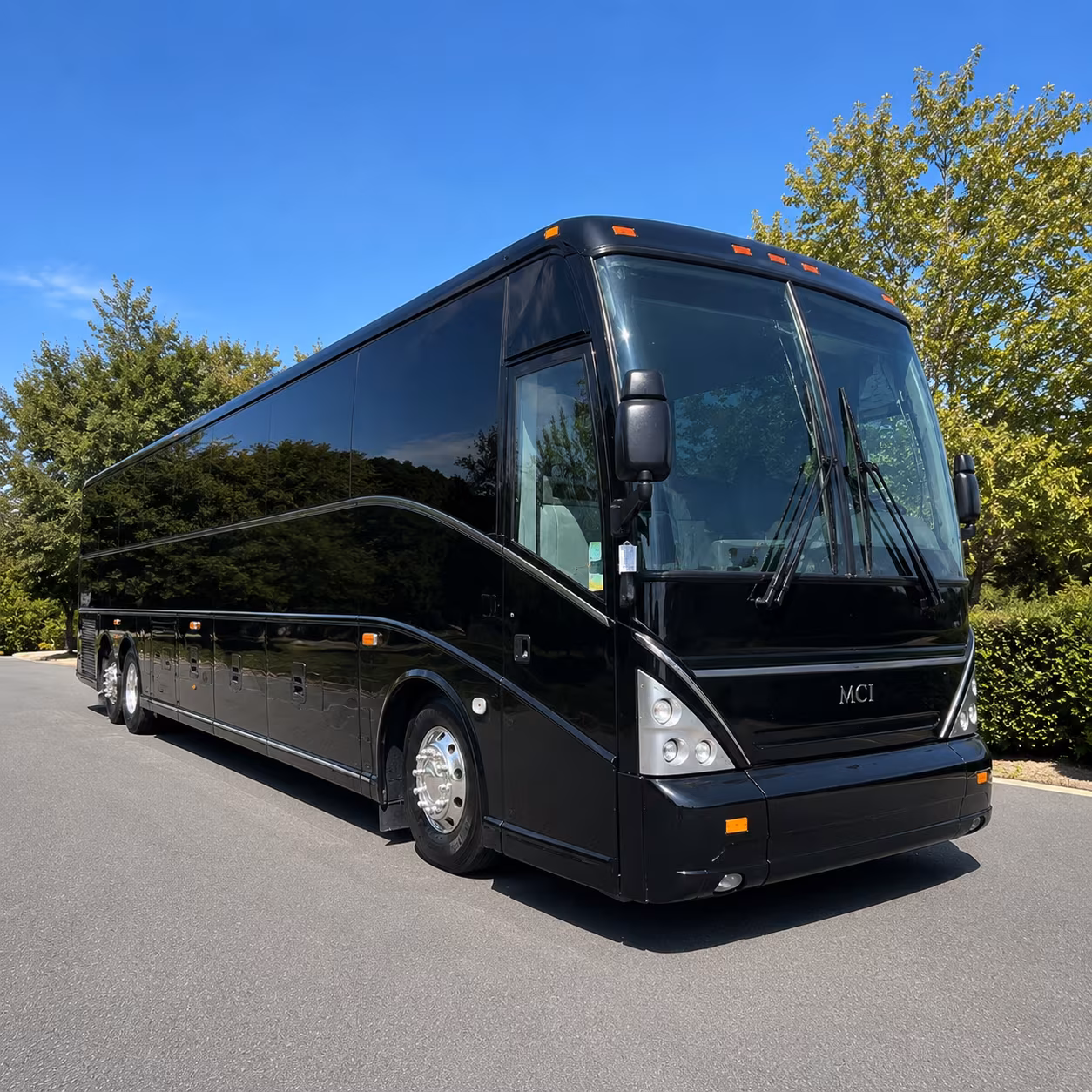 book group transportation for your next birthday 4
