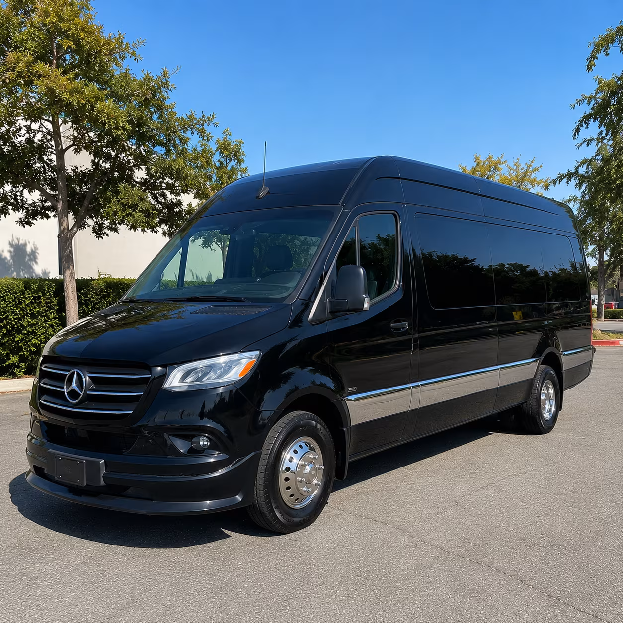 sprinter van rentals for small wyoming wedding groups and vip transfers