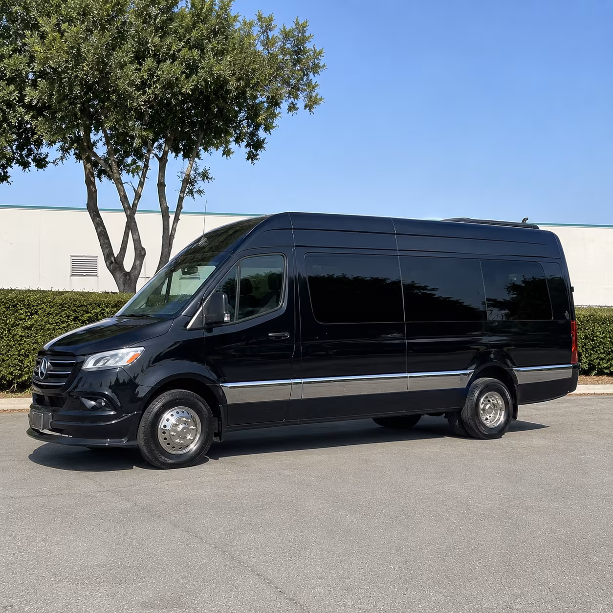 wyoming sprinter van with driver